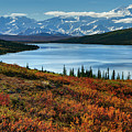 Alaska - Wonder lake in Denali national park